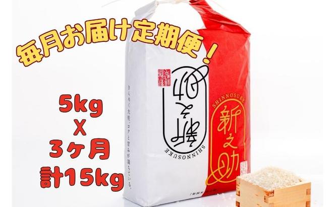 【通年受付】魚沼産新之助　精米5kg　全3回 十日町市 十日町 米