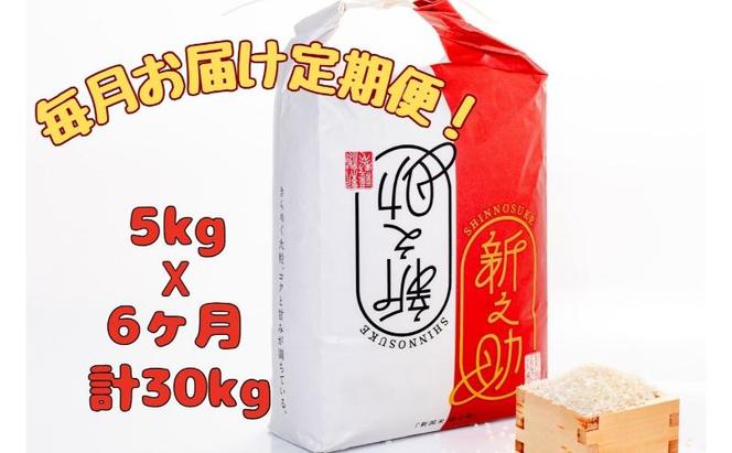 【通年受付】魚沼産新之助　精米5kg　全6回 十日町市 十日町 米