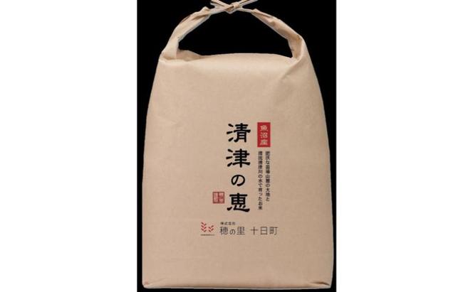 【通年受付】魚沼産特別栽培米コシヒカリ［清津の恵］精米5kg　全12回 十日町市 十日町 米