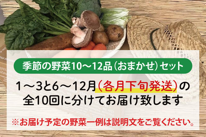 【発送月固定定期便】栽培期間中農薬不使用『身体が喜ぶ野菜』おまかせ10～12品（下旬発送）全10回 【新鮮 やさい ベジタブル 安心 安全 おいしい ランダム】（KBE-60B）