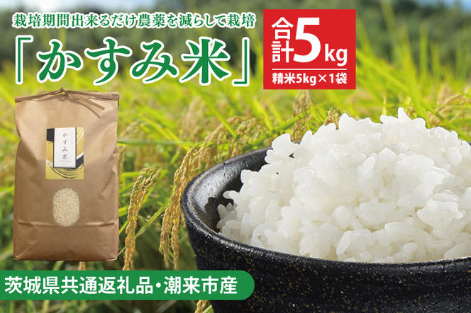 【茨城県共通返礼品・潮来市産】令和6年産新米　栽培期間出来るだけ農薬を減らして作る「かすみ米」（コシヒカリ）精米5kg 【減農薬 こしひかり おいしい おこめ 安心 安全 健康】（KBE-61）