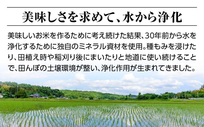 令和六年産特別栽培米コシヒカリ9kg（4.5kg×2袋）玄米