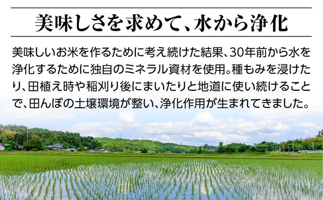 【定期便】3ヶ月連続お届け 令和六年産特別栽培米コシヒカリ4.5kg 