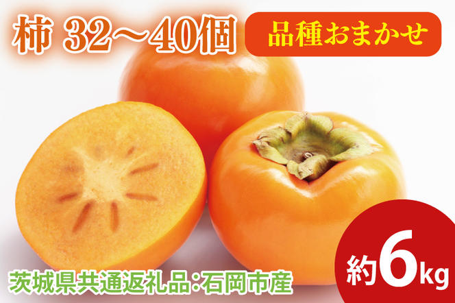 柿 約6kg 32～40個（茨城県共通返礼品：石岡市産）※2024年9月上旬～12月下旬頃に順次発送予定（CD077）