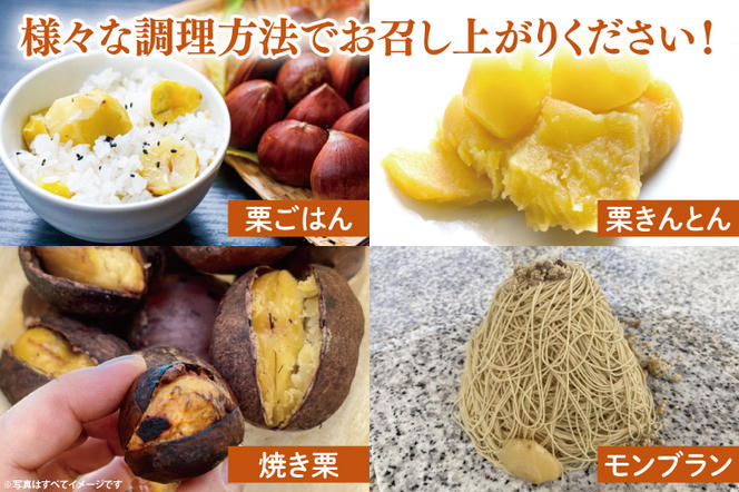 【数量★期間限定】なくなり次第終了！【鹿嶋市産】和栗（生） 500g×2袋 計1kg 【くり マロン ほくほく なまぐり 1キロ 10000円以下 栗ごはん モンブラン】（KBP-6）