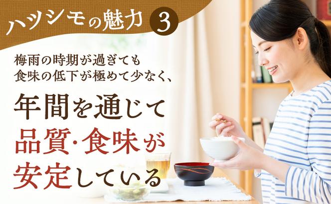 新米 令和6年産 岐阜県産 ハツシモ 10kg