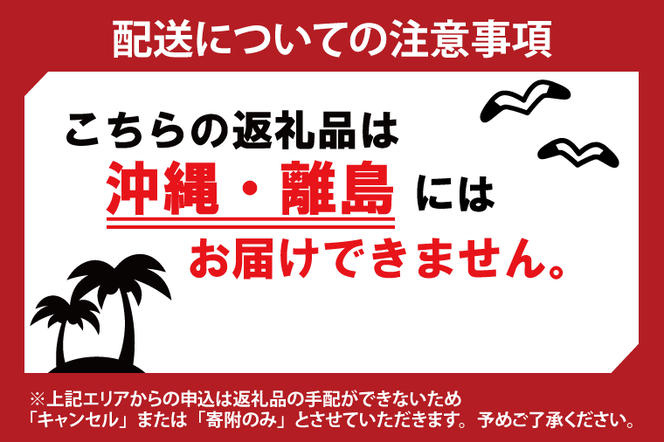 【先行予約】白いちご 大粒250g（8〜12粒）×4パック（茨城県共通返礼品：石岡市産）合計約1kg　※2024年12月初旬～2025年3月下旬頃に順次発送予定(CD004）