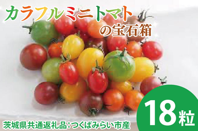 【先行予約】カラフルミニトマトの宝石箱 18粒（茨城県共通返礼品：つくばみらい市産）※2025年1月上旬～3月下旬頃に順次発送予定（CD092）