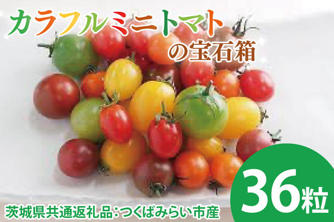 【先行予約】カラフルミニトマトの宝石箱 36粒（茨城県共通返礼品：つくばみらい市産）※2025年1月上旬～3月下旬頃に順次発送予定（CD093）