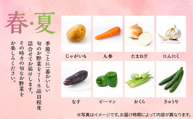 季節の野菜 7～8品目 セット 栽培期間中 無農薬 化学肥料不使用 旬 野菜 岡山