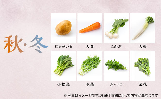 季節の野菜 7～8品目 セット 栽培期間中 無農薬 化学肥料不使用 旬 野菜 岡山