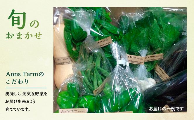 季節の野菜 7～8品目 セット 栽培期間中 無農薬 化学肥料不使用 旬 野菜 岡山