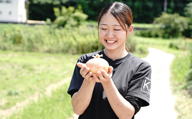 淡路島たまねぎ 大きな2Lサイズ10kg　　 [玉ねぎ たまねぎ 淡路島 玉ねぎ たまねぎ 淡路島 玉ねぎ たまねぎ 淡路島 玉ねぎ たまねぎ 淡路島 玉ねぎ たまねぎ 玉ねぎ たまねぎ 玉ねぎ たまねぎ 玉葱 玉ねぎ 玉ねぎ たまねぎ 玉ねぎ]