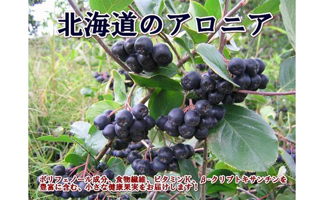 北海道 伊達 大滝産 アロニア ジュース 500ml 2本 果汁 果実飲料 飲料 飲み物 フルーツ スーパーフード ポリフェノール