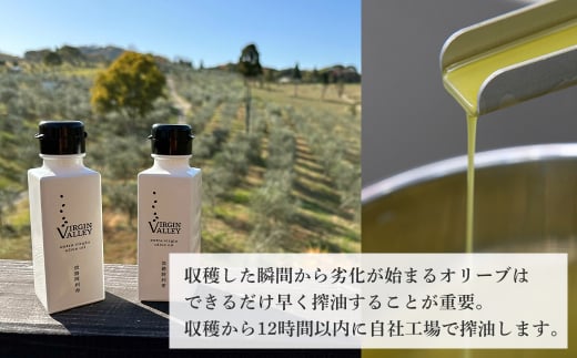 50本セット！「Virgin Valley 淡路阿利布」91ｇ（エキストラバージンオリーブオイル）