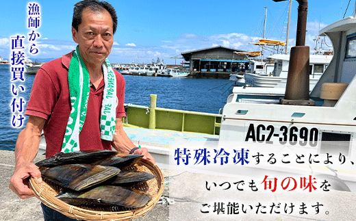 むき身 セット 約500g 冷凍 詰め合わせ 特大サイズ 平貝 岬だより 魚介 海鮮 貝 出汁 愛知県 南知多町