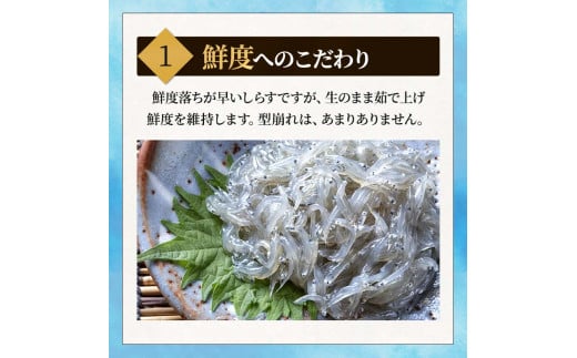 【小分け・容量が選べる】しらす 訳あり 400g～1kg しらす干し 小分け 冷凍 シラス ごはん おかず チャーハン パスタ 料理 大きめ 産地直送 ランキング こだわり 鮮度 天塩 マル伊商店 愛知県 南知多町