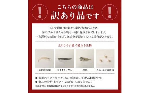 【小分け・容量が選べる】しらす 訳あり 400g～1kg しらす干し 小分け 冷凍 シラス ごはん おかず チャーハン パスタ 料理 大きめ 産地直送 ランキング こだわり 鮮度 天塩 マル伊商店 愛知県 南知多町