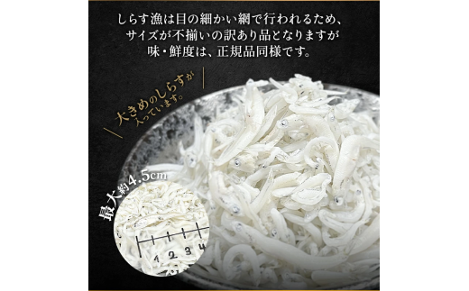 【小分け・容量が選べる】しらす 訳あり 400g～1kg しらす干し 小分け 冷凍 シラス ごはん おかず チャーハン パスタ 料理 大きめ 産地直送 ランキング こだわり 鮮度 天塩 マル伊商店 愛知県 南知多町