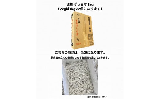 選べる しらす 1kg ～ 2kg 釜揚げしらす 島の工場から直送 愛知県 日間賀島産 減塩 冷凍 丸豊 魚 さかな ご飯 ごはん 国産 シラス 離乳食 人気 おすすめ 愛知県 南知多町