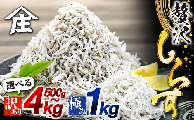 しらす 500g ～ 4kg 訳あり 冷凍 ちりめん かちり しらす干し 減塩 極み ごはん 丼 パスタ チャーハン サラダ 魚 料理 山庄 愛知県 南知多町 師崎