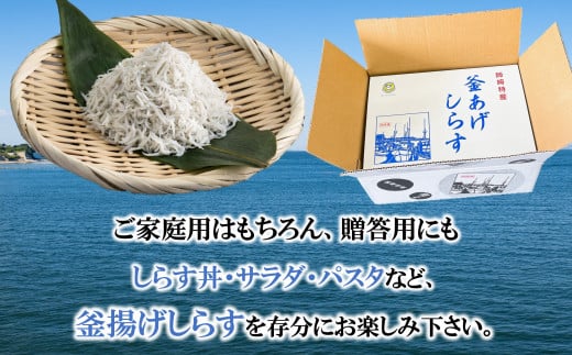 訳あり 釜揚げ しらす 350g～2kg 小分け  減塩 無添加 無着色 冷凍 愛知県 南知多町 ご飯 ごはん 丼 料理 国産 カネ成 シラス 人気 おすすめ