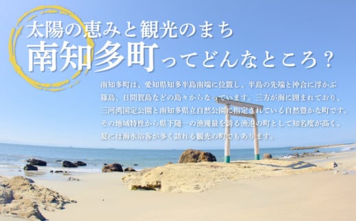 いわし 丸干し 24尾 ( 8尾 × 3 パック ) 干物 冷凍 小分け 愛知県 南知多町 ご飯 ごはん おかず おつまみ 魚 さかな 鰯 金鯱 イワシ 栄養 料理 国産 カネ成 人気 おすすめ 