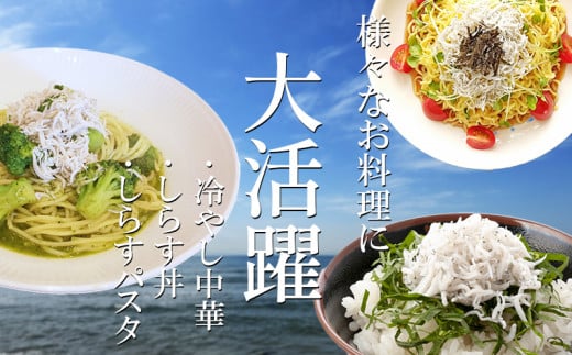 釜揚げしらす 500～1.5kg (1～3箱) 冷凍 小分け 大容量 惣菜 弁当 便利 ランキング 減塩 無添加 無着色 ご飯 ごはん 丼 料理 国産 カネ成 シラス おつまみ お取り寄せ お取り寄せ サラダ グルメ 人気 おすすめ 愛知県 南知多町