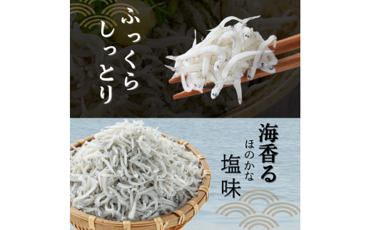 愛知県産 訳あり 天然 釜揚げしらす 1kg 冷凍 国産 無添加 無着色 つまみ ご飯 ごはん ピザ パスタ サラダ 新鮮 魚 さかな シラス 料理 丼 愛知県 南知多町 人気 おすすめ