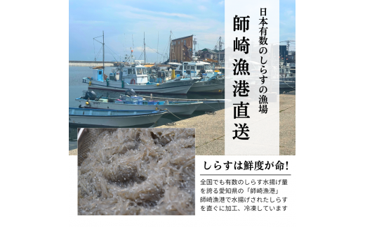 愛知県産 訳あり 天然 釜揚げしらす 1kg 冷凍 国産 無添加 無着色 つまみ ご飯 ごはん ピザ パスタ サラダ 新鮮 魚 さかな シラス 料理 丼 愛知県 南知多町 人気 おすすめ