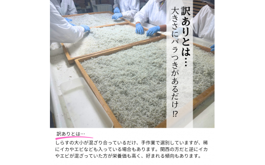 愛知県産 訳あり 天然 釜揚げしらす 1kg 冷凍 国産 無添加 無着色 つまみ ご飯 ごはん ピザ パスタ サラダ 新鮮 魚 さかな シラス 料理 丼 愛知県 南知多町 人気 おすすめ