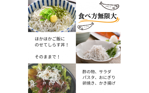 愛知県産 訳あり 天然 釜揚げしらす 1kg 冷凍 国産 無添加 無着色 つまみ ご飯 ごはん ピザ パスタ サラダ 新鮮 魚 さかな シラス 料理 丼 愛知県 南知多町 人気 おすすめ