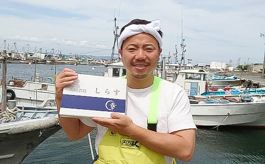 日間賀島 しらす 1kg 冷凍 愛知県 南知多町 天然 塩 ご飯 ごはん パスタ サラダ ピザ 丼 料理 国産 シラス 魚 さかな ミネラル パーティー 人気 おすすめ