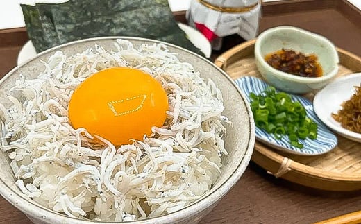 日間賀島 しらす 1kg 冷凍 愛知県 南知多町 天然 塩 ご飯 ごはん パスタ サラダ ピザ 丼 料理 国産 シラス 魚 さかな ミネラル パーティー 人気 おすすめ