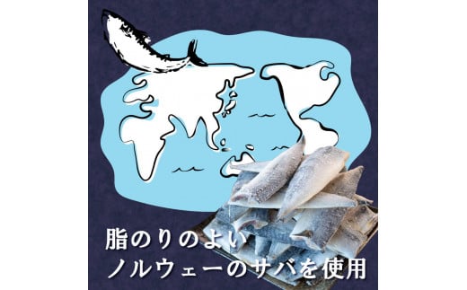 訳あり 塩サバ 約700g～約5kg 冷凍 大容量 鯖 塩 さば 塩鯖 塩さば 魚 海鮮 海産物 おかず ご飯 おすすめ ギフト 贈答 切り身 不揃い サバフィーレ 鯖フィーレ フィーレ 焼き魚 人気 愛知県 南知多町 【配送不可地域：離島】