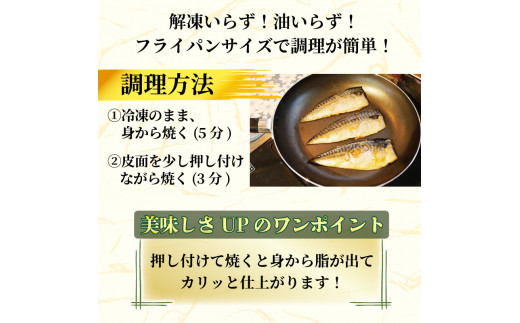 訳あり 塩サバ 約700g～約5kg 冷凍 大容量 鯖 塩 さば 塩鯖 塩さば 魚 海鮮 海産物 おかず ご飯 おすすめ ギフト 贈答 切り身 不揃い サバフィーレ 鯖フィーレ フィーレ 焼き魚 人気 愛知県 南知多町 【配送不可地域：離島】