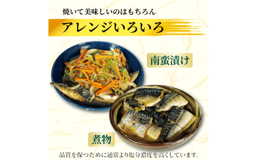 訳あり 塩サバ 約700g～約5kg 冷凍 大容量 鯖 塩 さば 塩鯖 塩さば 魚 海鮮 海産物 おかず ご飯 おすすめ ギフト 贈答 切り身 不揃い サバフィーレ 鯖フィーレ フィーレ 焼き魚 人気 愛知県 南知多町 【配送不可地域：離島】