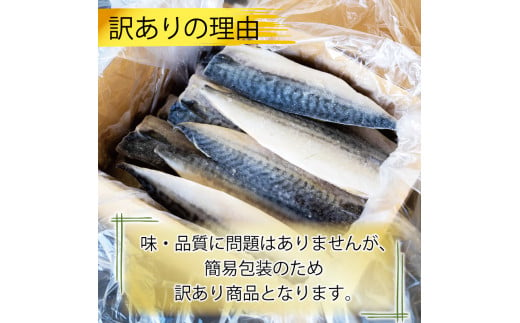 訳あり 塩サバ 約700g～約5kg 冷凍 大容量 鯖 塩 さば 塩鯖 塩さば 魚 海鮮 海産物 おかず ご飯 おすすめ ギフト 贈答 切り身 不揃い サバフィーレ 鯖フィーレ フィーレ 焼き魚 人気 愛知県 南知多町 【配送不可地域：離島】