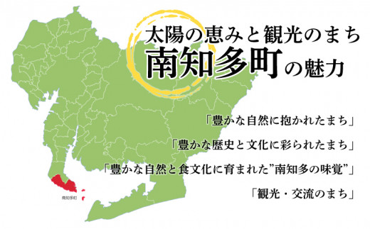 海苔 6～12本 国産 味付け 愛知県 南知多町 海藻 海苔 のり 八切り ボトル 大井漁協 