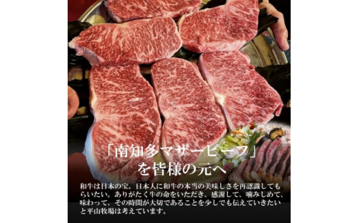 ＜数量限定＞牛肉 切り落とし 400g×2P 800g  (4人前) 南知多マザービーフ  経産牛