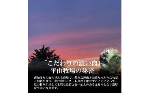 ＜数量限定＞牛肉 サーロインステーキ 170g×4枚 南知多マザービーフ 国産牛