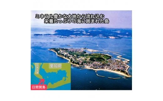 日間賀島 味付け 海苔 6本 島のり 味付けのり 丸豊 のり 愛知県 南知多町 ご飯 ごはん つまみ おやつ 人気 おすすめ