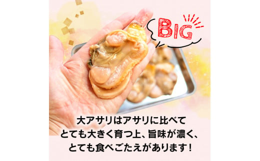 期間限定 値下げ 大あさり むき身 1kg ( 500g × 2パック )  貝 海鮮 大 あさり むき身 魚介 海の幸 新鮮 冷凍 家族 夏 バーベキュー BBQ ホイル 焼き 鍋 揚げ物 炊き込み ご飯 ごはん 小分け 人気 おすすめ 愛知県 南知多町 【離島不可】