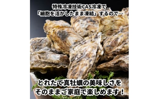 牡蠣 殻付き 真牡蠣 2kg 生食用 冷凍 海鮮 貝 海産物 バーベキュー BBQ 魚貝類 海の幸 海のミルク 海鮮浜焼き 夏 おすすめ 人気 愛知県 南知多町 篠島【配送不可地域：離島】