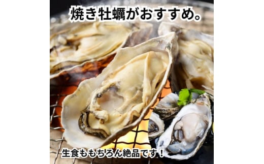 牡蠣 殻付き 真牡蠣 2kg 生食用 冷凍 海鮮 貝 海産物 バーベキュー BBQ 魚貝類 海の幸 海のミルク 海鮮浜焼き 夏 おすすめ 人気 愛知県 南知多町 篠島【配送不可地域：離島】