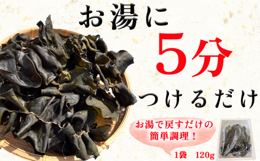 岬だよりのコリコリ食感・粘り抜群の乾燥めかぶ　120g×10袋