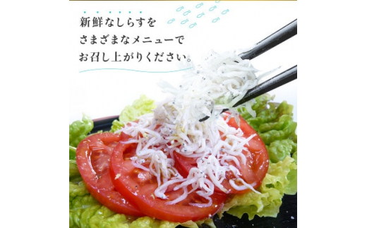 訳あり 釜揚げしらす 1kg(箱入り)こだわりの塩で減塩・甘塩仕上げ 少し大きめのシラス