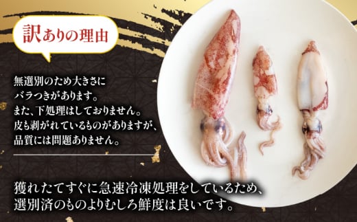 訳あり 小イカ ( アカイカ ヒイカ ) 約2.25kg(450gx5パック) 不揃い 小分け 冷凍 刺身 セリから直送 ケンサキイカ ジンドウイカ イカ 料理 おかず 天ぷら フライ 煮物 焼きそば お好み焼き 炒め物 魚太郎 愛知県 南知多町【配送不可地域：離島】