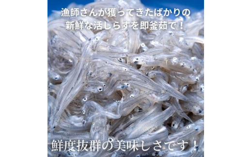 釜揚げしらす干し 350g(70g×5袋小分けパック) CAS 冷凍 無添加 冷凍 惣菜 弁当 便利 ご飯 ごはん 丼 料理 海鮮丼 離乳食 シラス おつまみ サラダ グルメ 人気 おすすめ 愛知県 南知多町