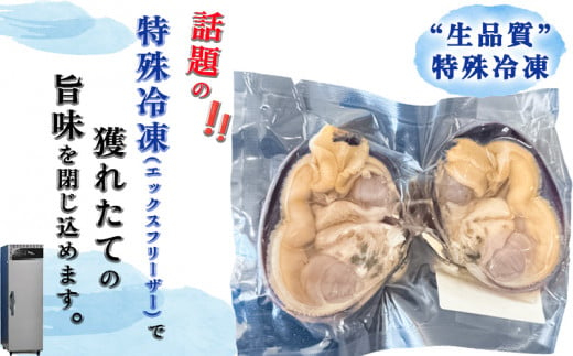 天然 大アサリ 岬だよりの【知多半島名物】 大あさり 半割（冷凍） 特大サイズ2kg（たれ付き）